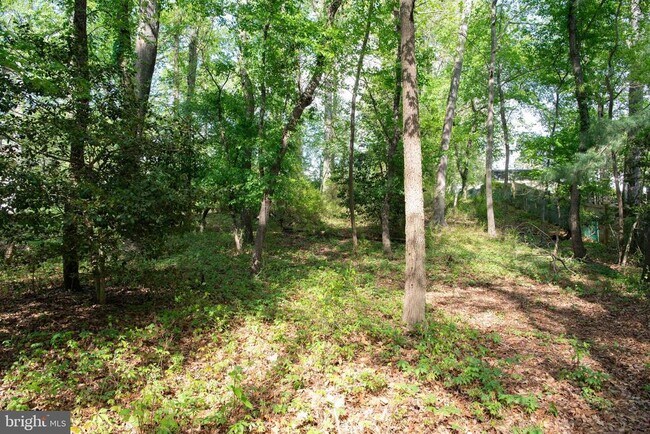 Building Photo - 4785 Mountain Rd