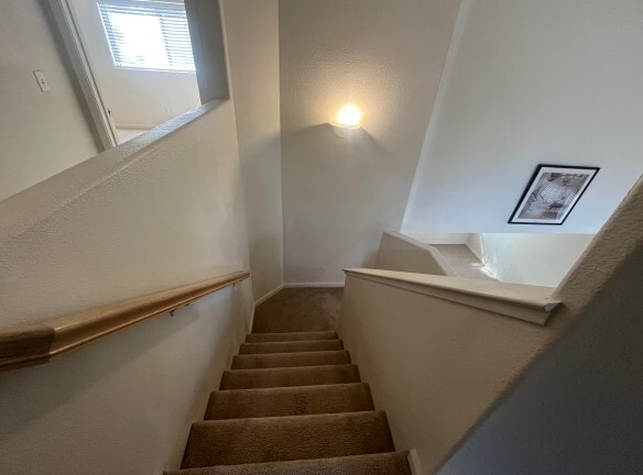 Building Photo - 3527 Ignacio Cir