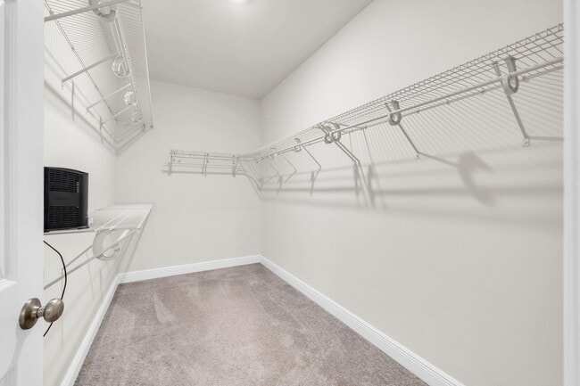 Building Photo - 147 Picnic Pl