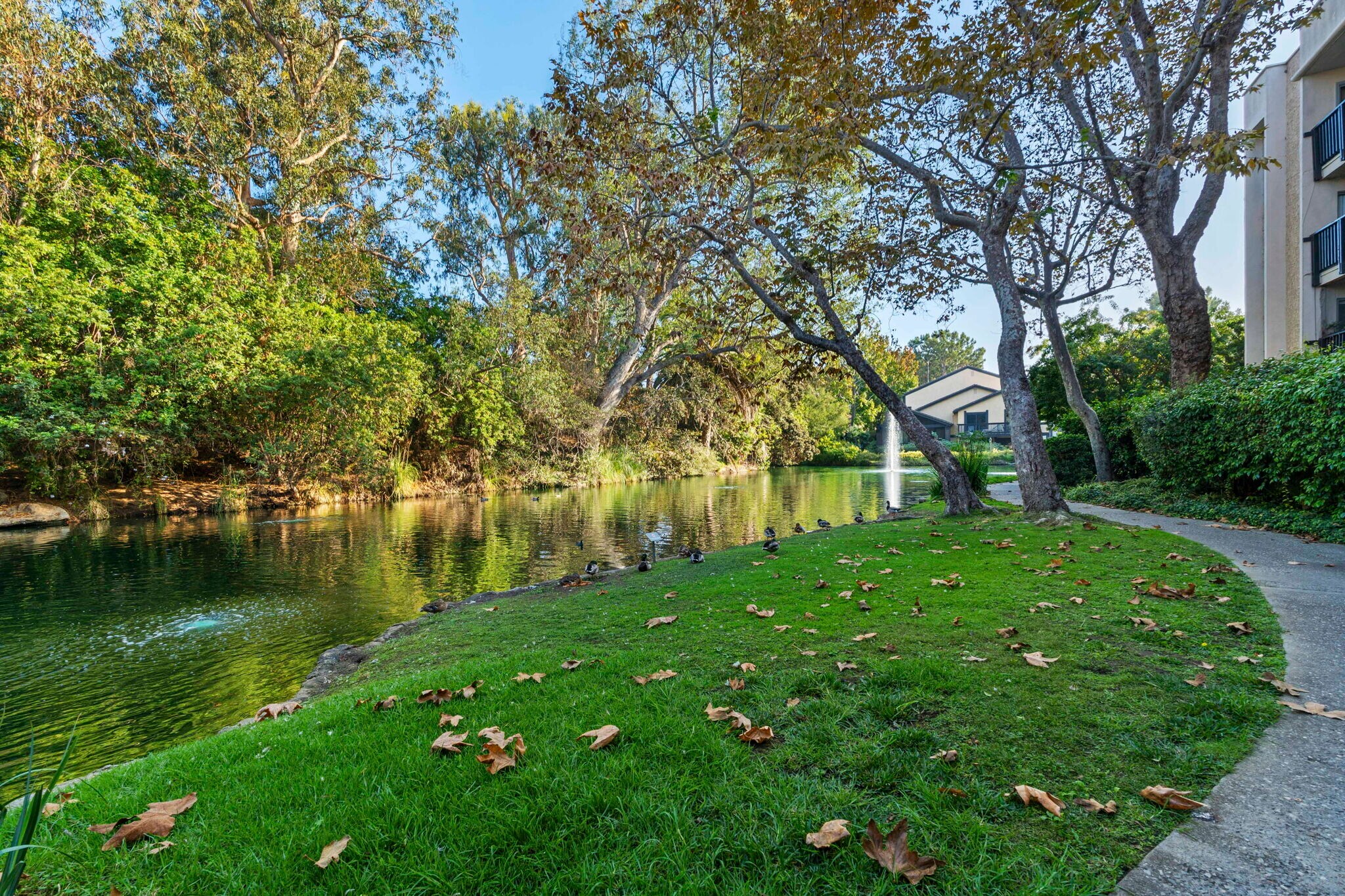 Building Photo - 3113 Raintree Cir