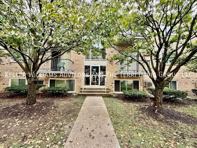 Building Photo - 3527 Werk Rd