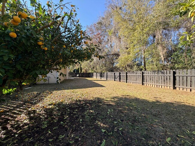 Building Photo - SummerBrooke Home, Plenty of Sunshine, Privacy, & Backyard Space!