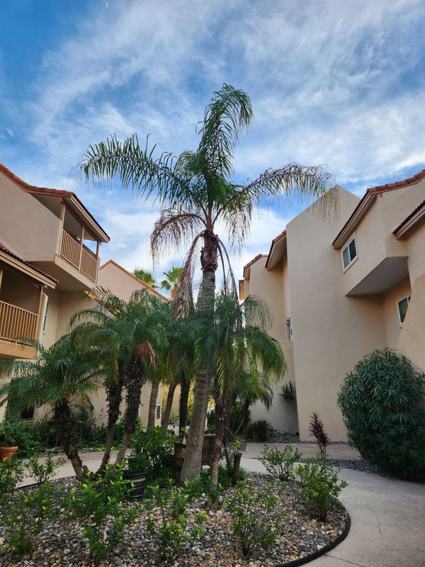 Building Photo - 206 W Red Snapper St