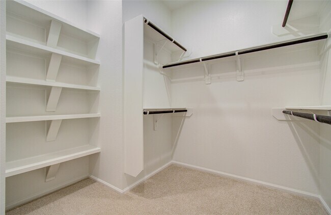 Building Photo - 10731 Aquila Star Dr