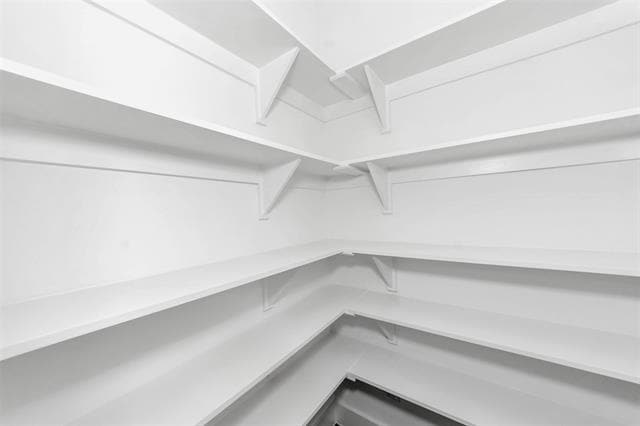 Building Photo - 1961 Dowgate Ct