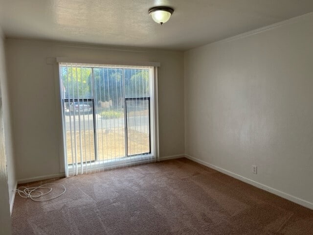 Building Photo - 3/1 home in Arden neighborhood!