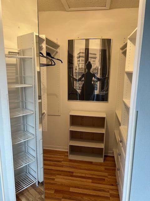 Building Photo - 312 Knotty Pine Cir