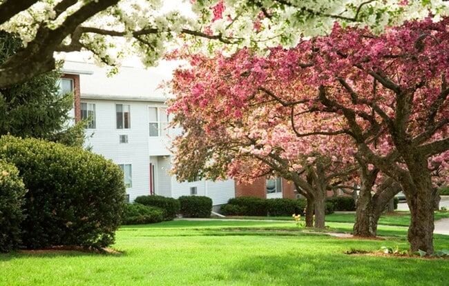 Building Photo - 2BR/1Bth unit in professionally managed complex, Heat/Hot Water included. Gym, pool, balcony