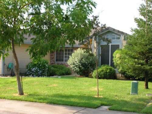 COLLEGEVIEW DRIVE ~ Near College 3 bedroo... - COLLEGEVIEW DRIVE ~ Near College  3 bedroo...