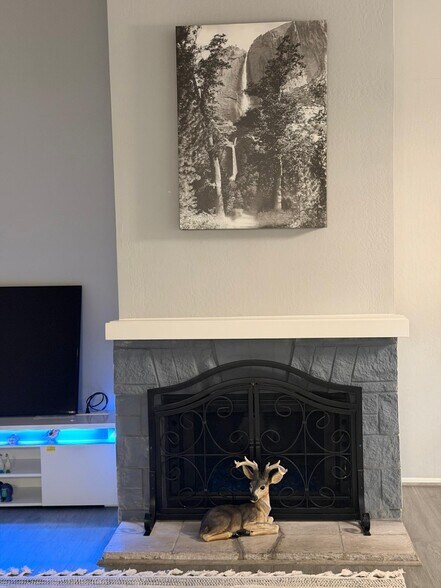 Fireplace and T V - 1072 Maywood Ln