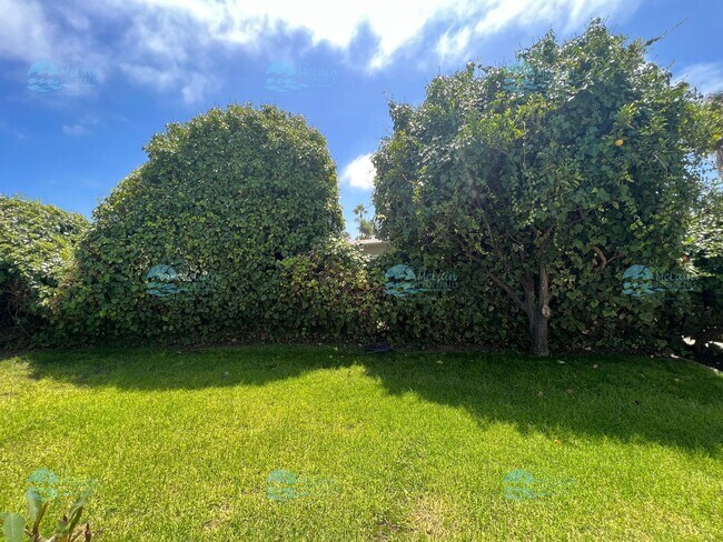 Building Photo - 304 N Rios Ave