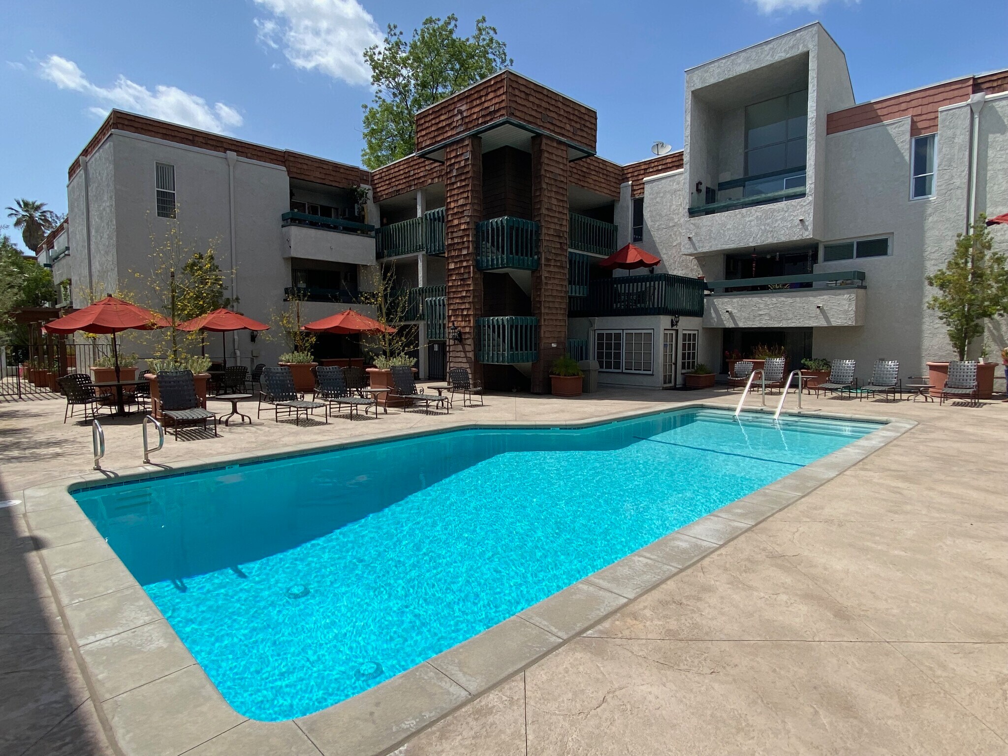 Common area: pool - 355 S Los Robles Ave