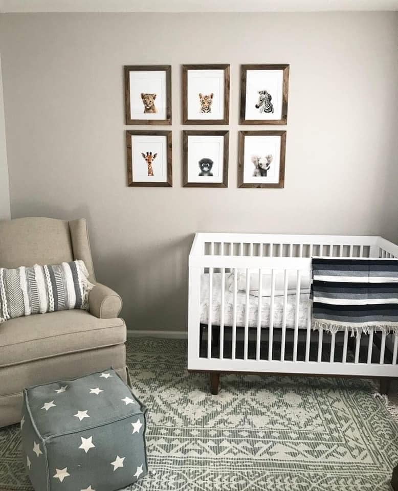 Building Photo - 9761 Roe Dr.