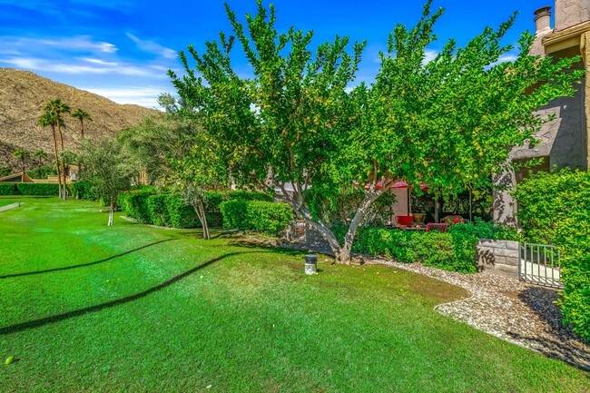 Building Photo - 215 Calle Bravo