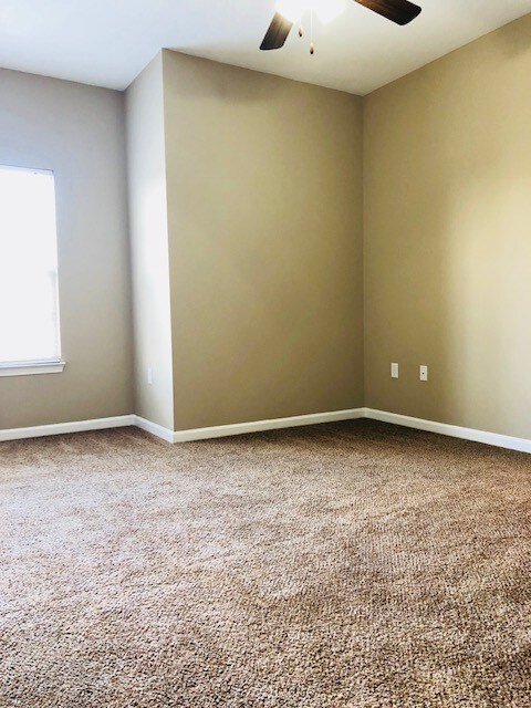 Building Photo - 4204 Sydney Cove