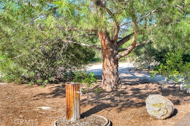 Building Photo - 10 Pantano