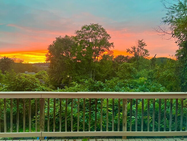 Building Photo - Charming 3 Bedroom with Lush Sunset Views ...