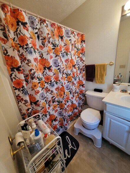 Full bath 2 - 515 Silver Leaf Dr