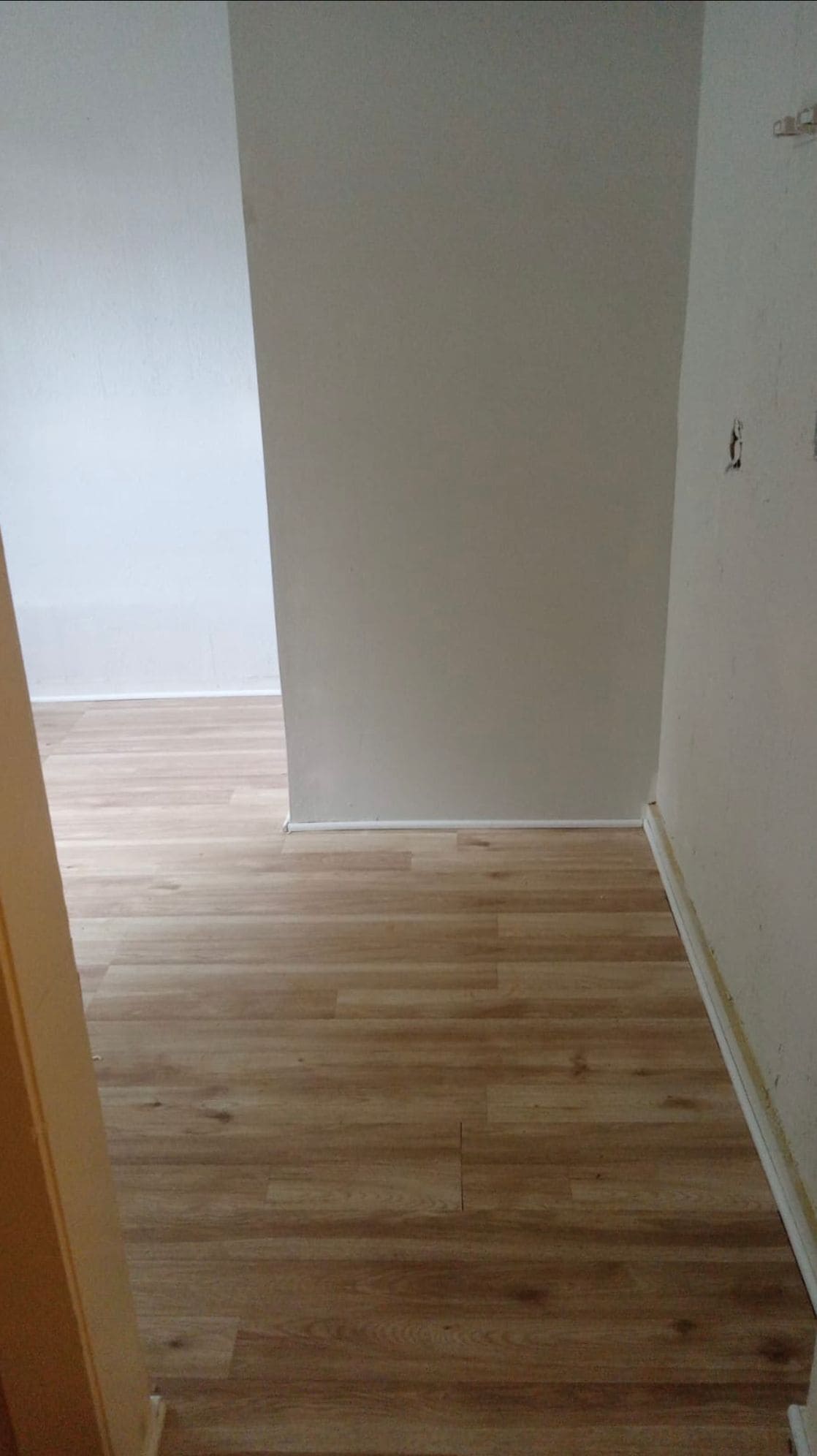 Building Photo - 1035 Maynard St