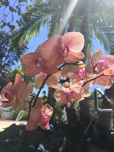 Building Photo - 9001 SW 156th St