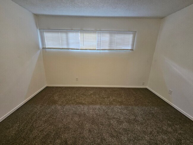 Building Photo - Spacious Private Home with Pool on Nearly Half an Acre