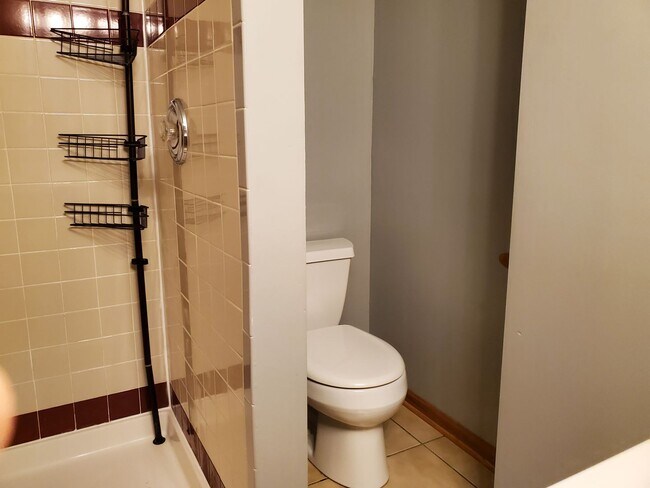 Building Photo - Elliot Park Minneapolis, Stand Alone House, Updated and Eco-friendly