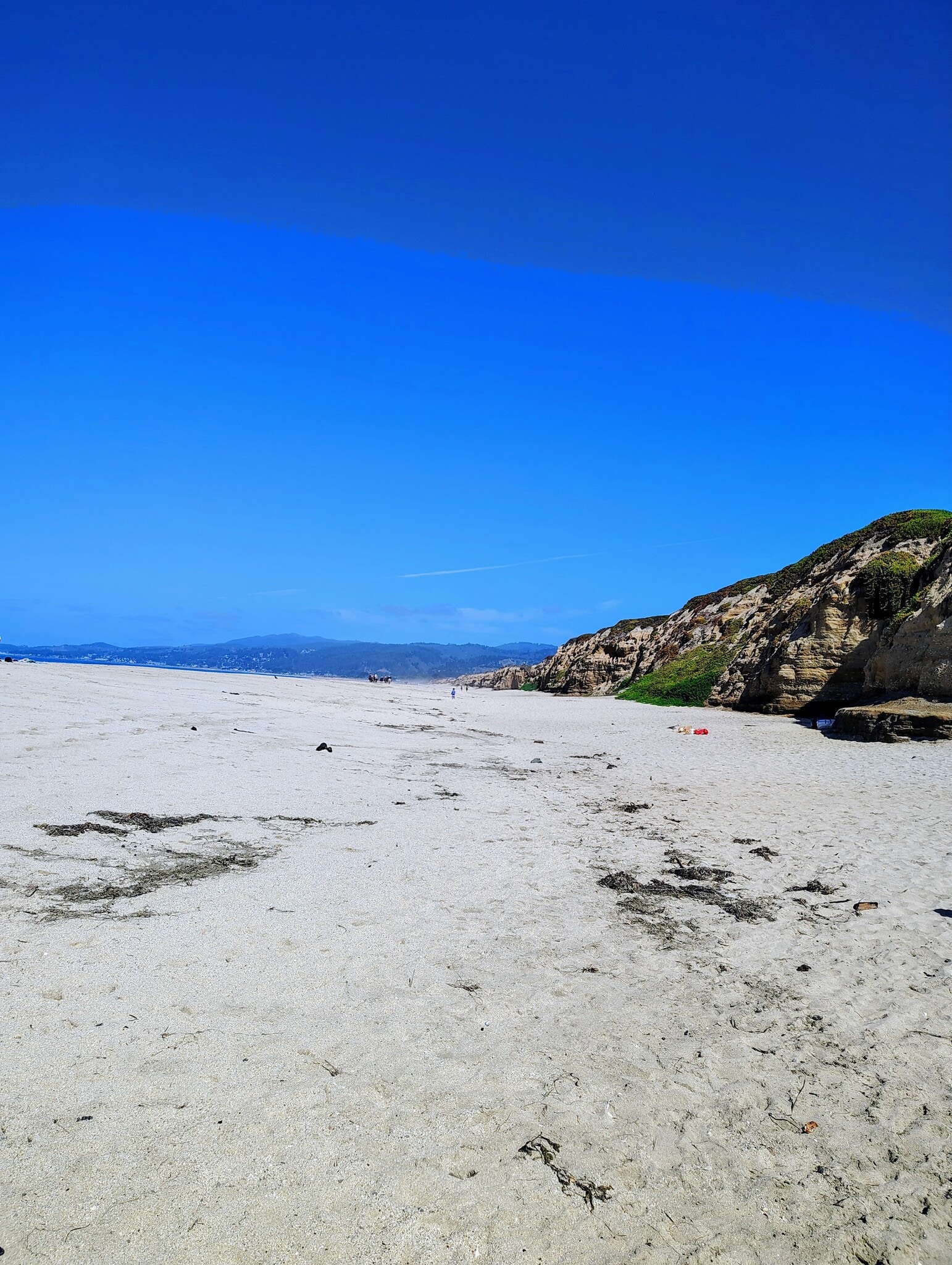 HALF MOON BAY COLOR INSPIRATION FOR ACCENT WALL - 1217 S Orange Grove Ave