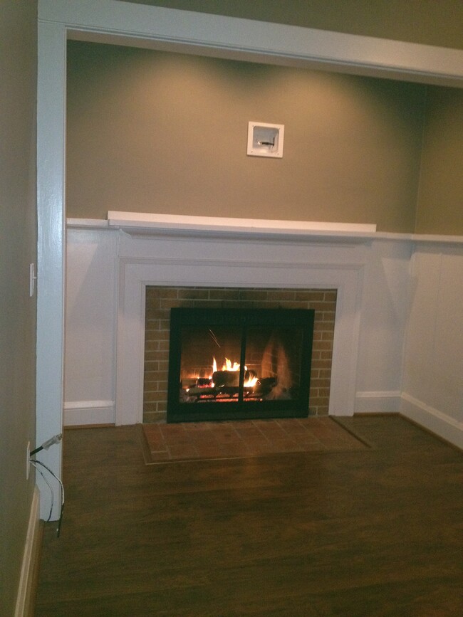 Fireplace in living area - 170 Finley St