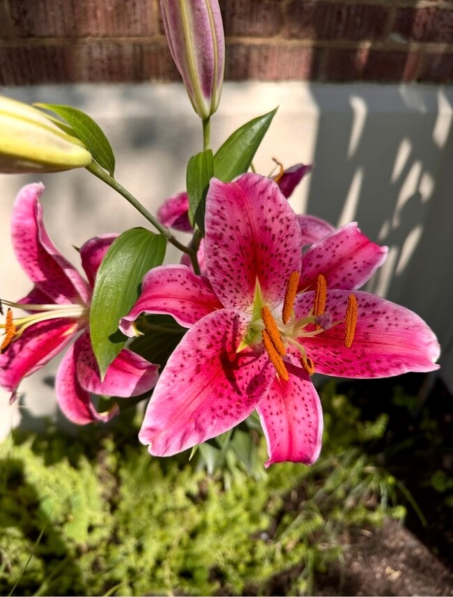 Building Photo - 2560 Fillmore Ave