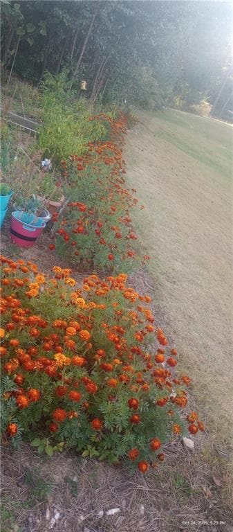 Building Photo - 3370 Westgate Park Dr