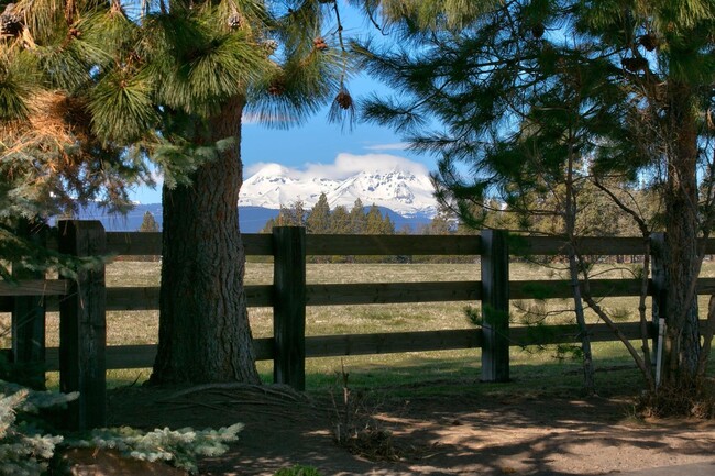 Building Photo - One of a kind, Magnificent Ranch Estate Pr...