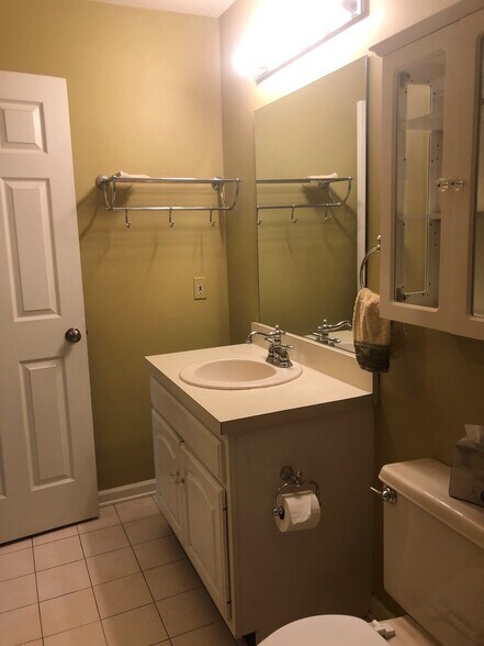 Bathroom Sink - 842 Belmont Dr