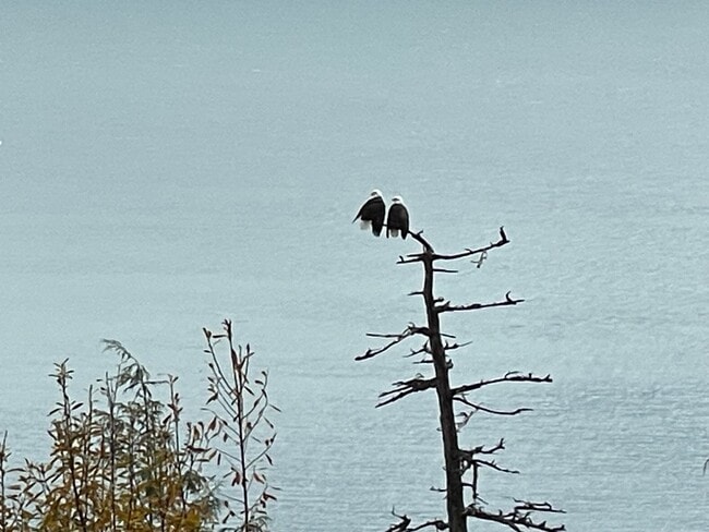 Building Photo - ***PENDING APPLICATION***Fantastic 3 Bedroom Home with Gorgeous Ocean View