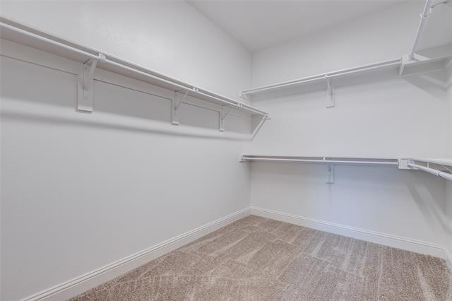 Building Photo - 3930 Dalea Dr