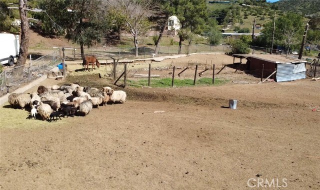 Building Photo - 33716 Hubbard Rd