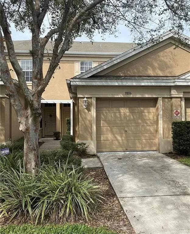 Primary Photo - 9806 Fan Palm Way