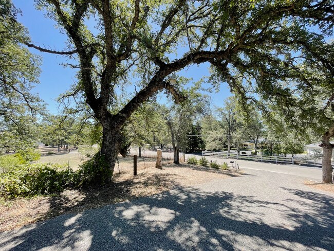 Building Photo - COUNTRY SETTING 3 BEDROOM WITH POOL AND SOLAR