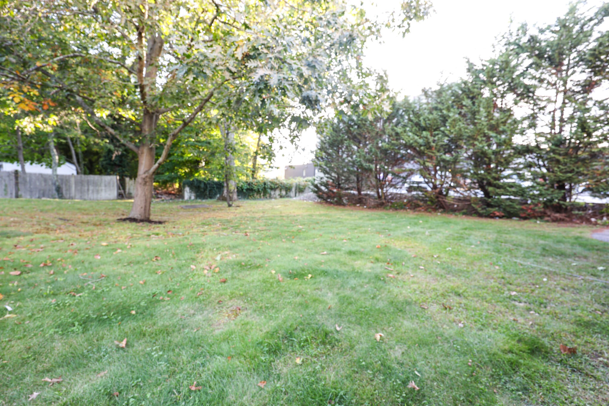 Building Photo - 370 Franklin St