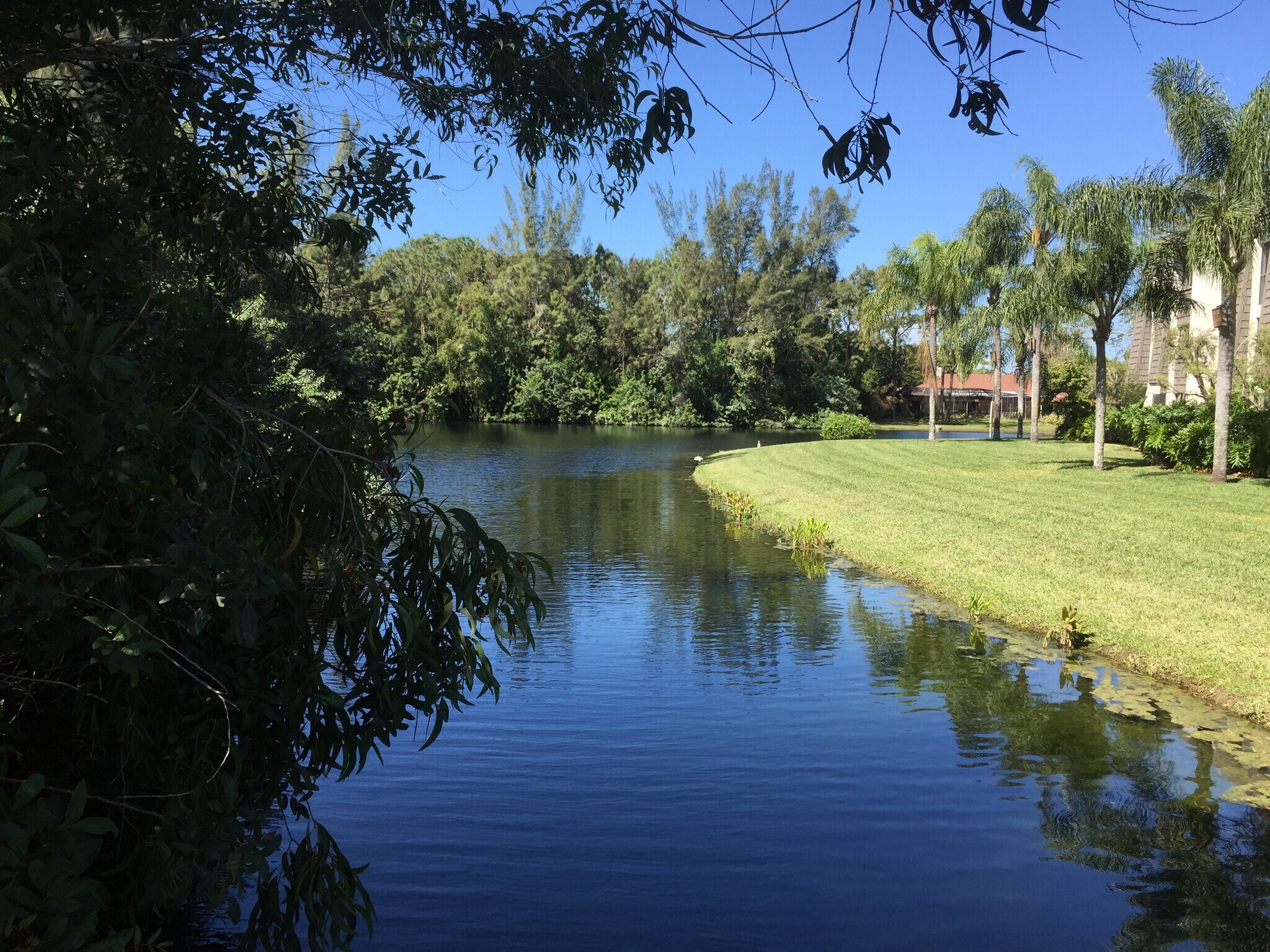 Building Photo - 1645 Spoonbill Ln