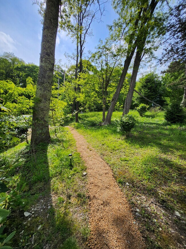 Building Photo - 2650 Hickory Nut Gap Rd