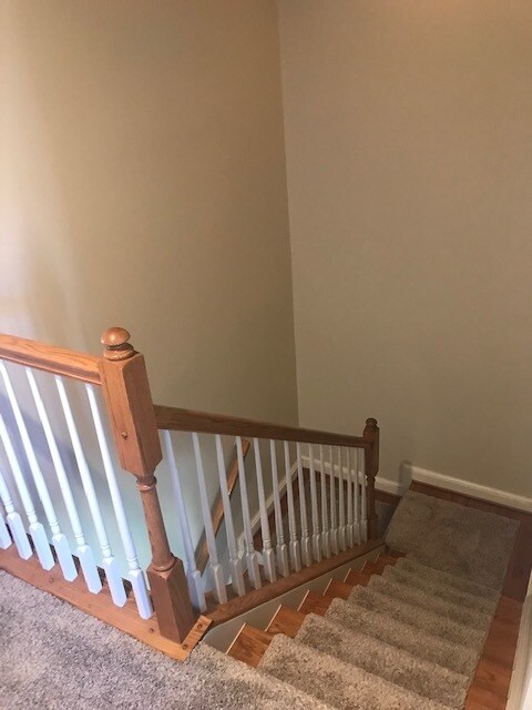 Building Photo - 5004 Cameo Ter