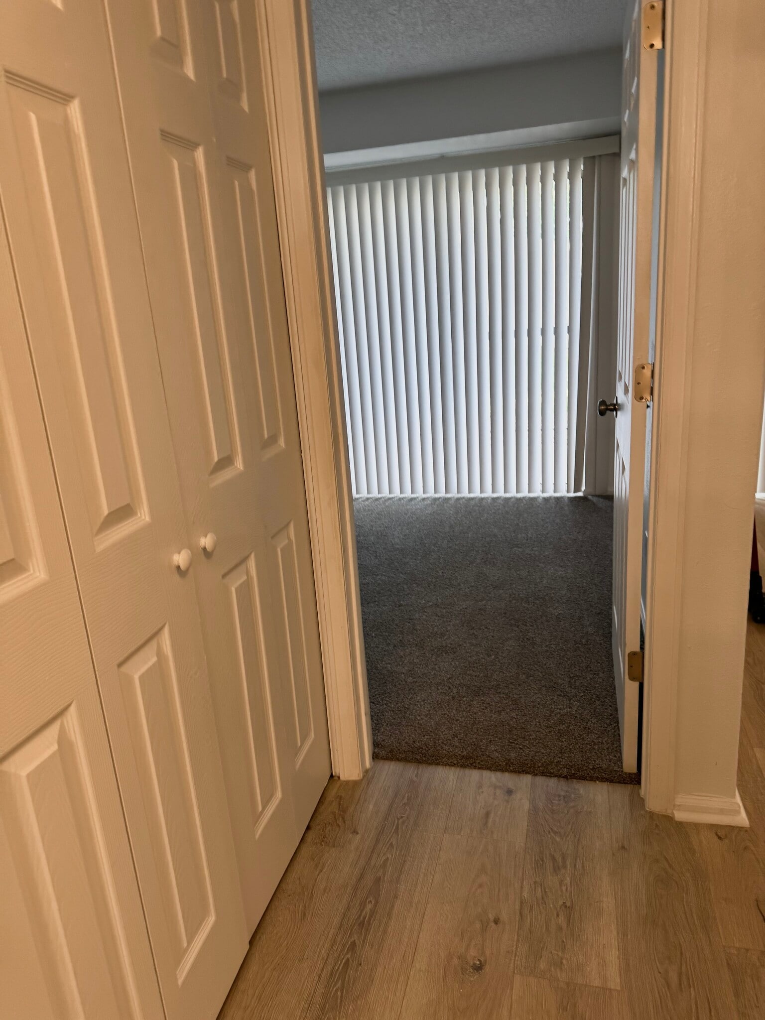 Huge hallway closet for many storage needs - 2575 S Syracuse Way