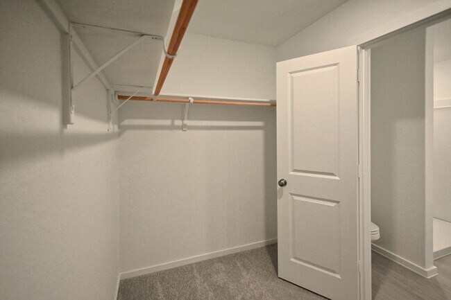Building Photo - 1517 Hummock Steep