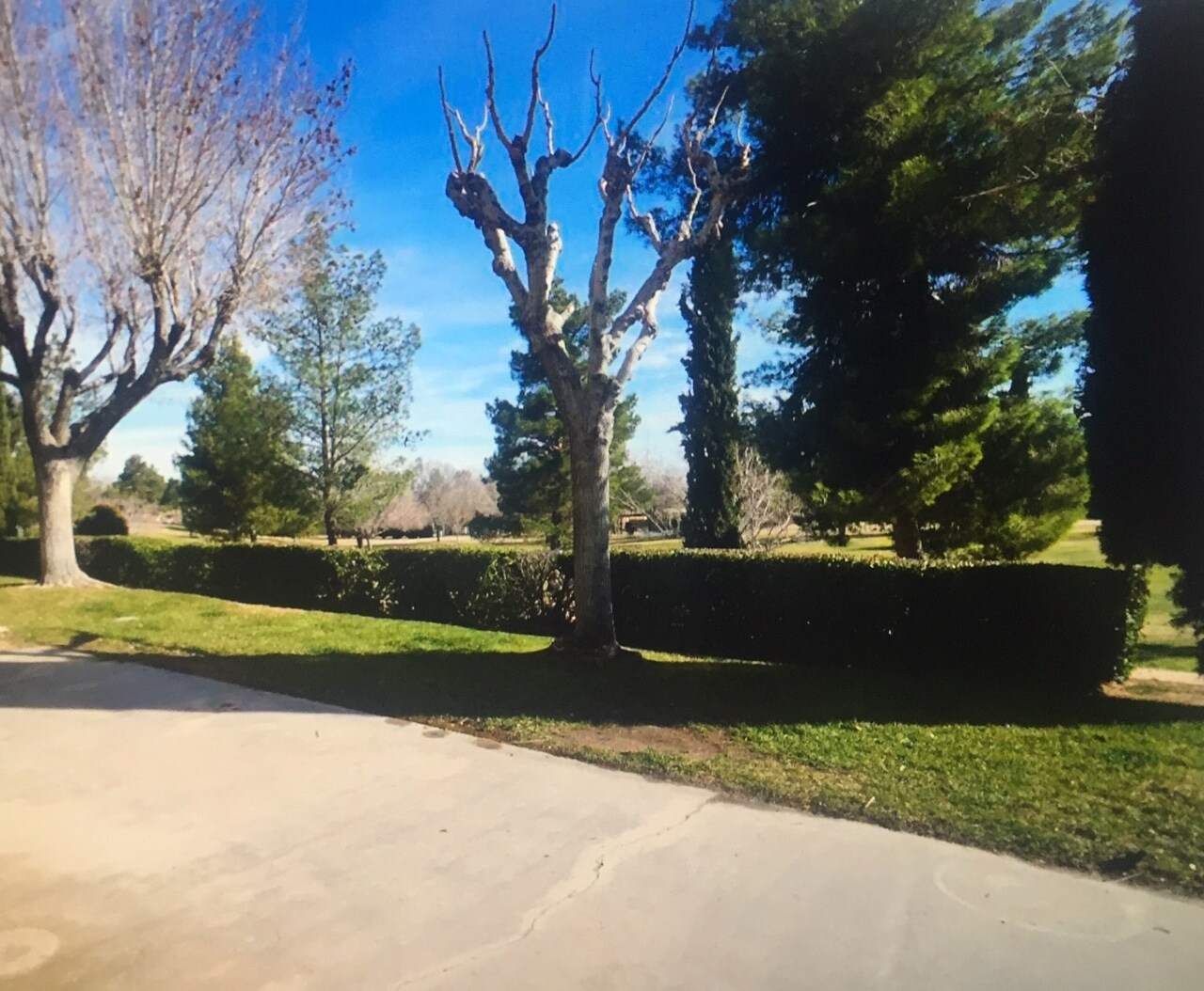 GOLF COURSE VIEW - 14273 E Sage St