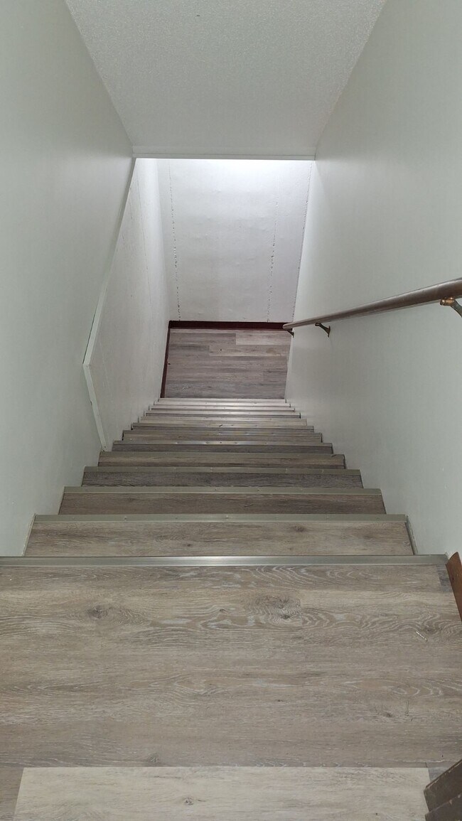Stairs to the basement - 5341 SW 15th Ct