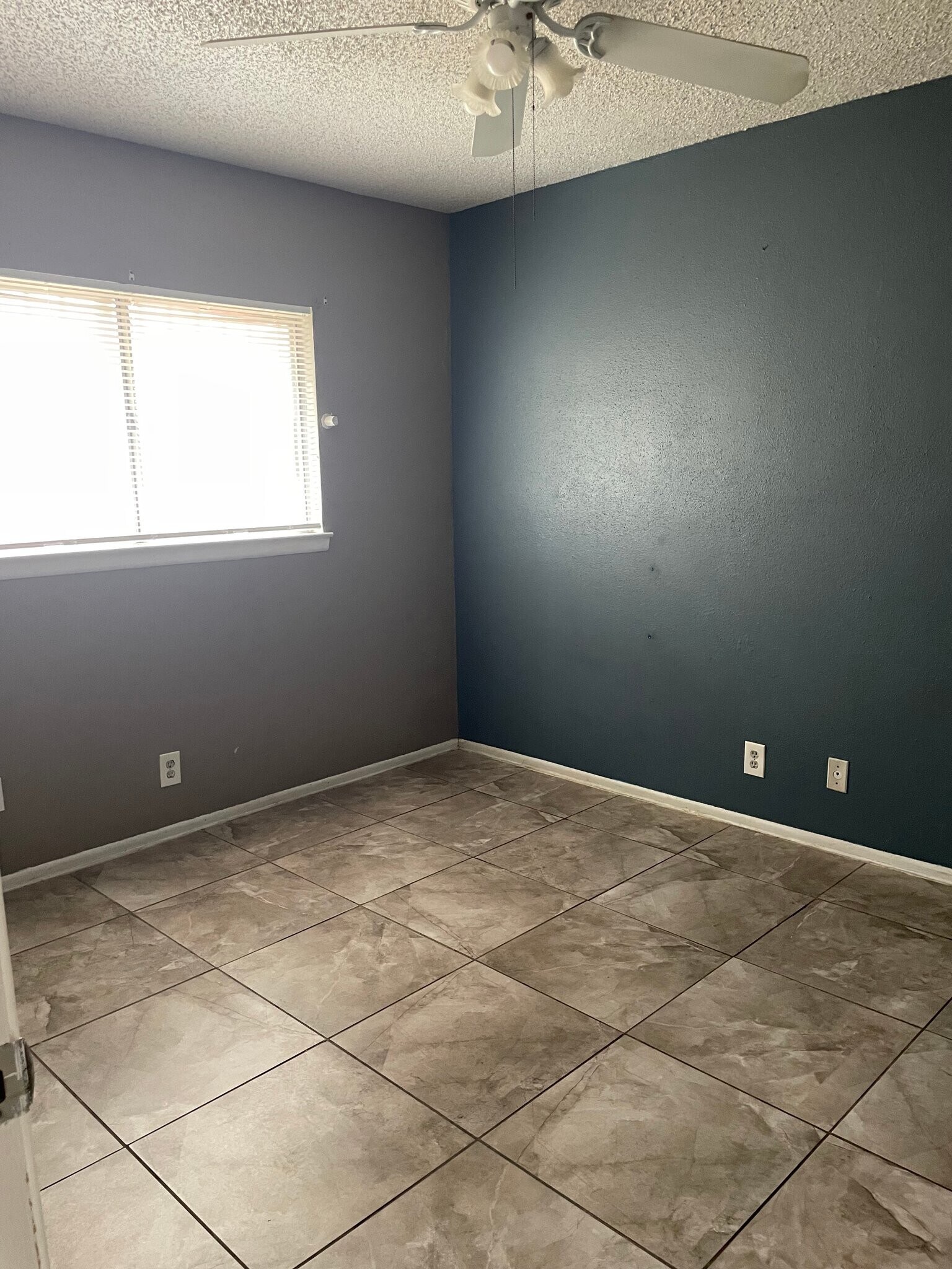 Building Photo - 11630 Spring Trail Dr