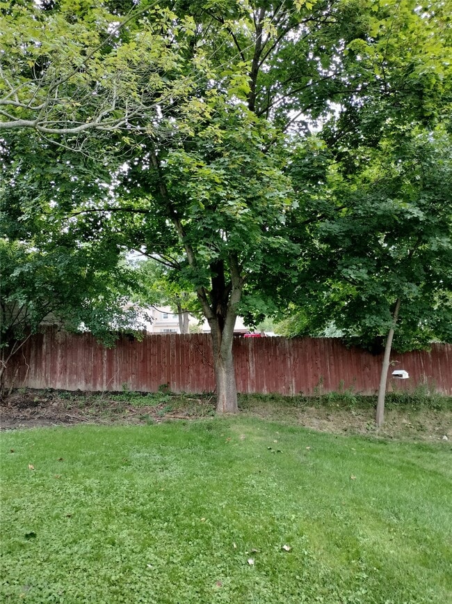 Building Photo - 31 Indiana St