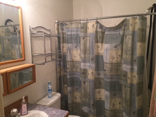 Building Photo - 812 E Saguaro St