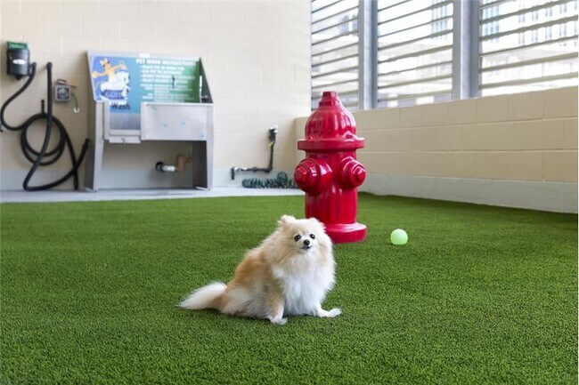 Building Photo - 302 Brazos St