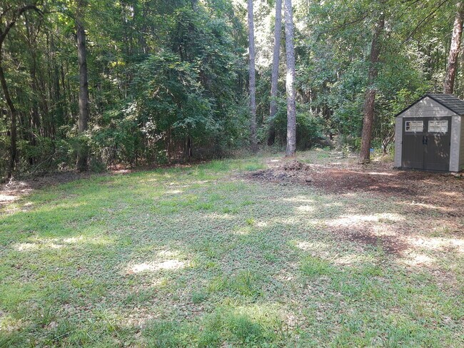 Backyard - 505 Aster Ct